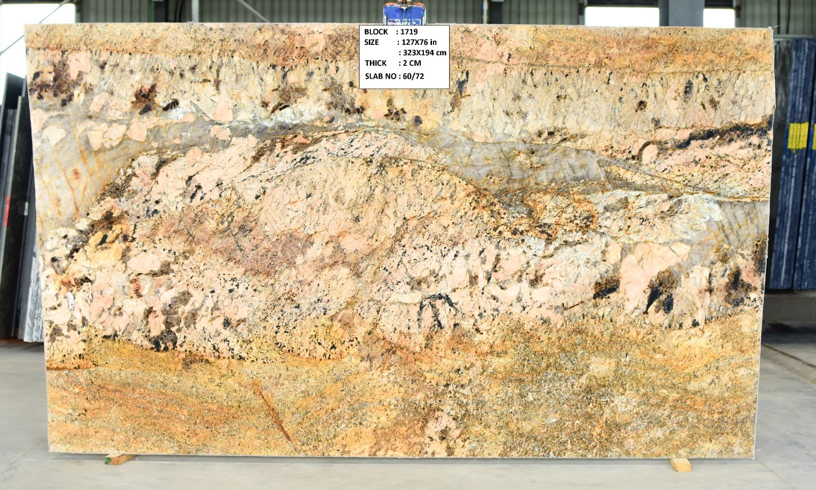 Alaska Gold gallery image 1