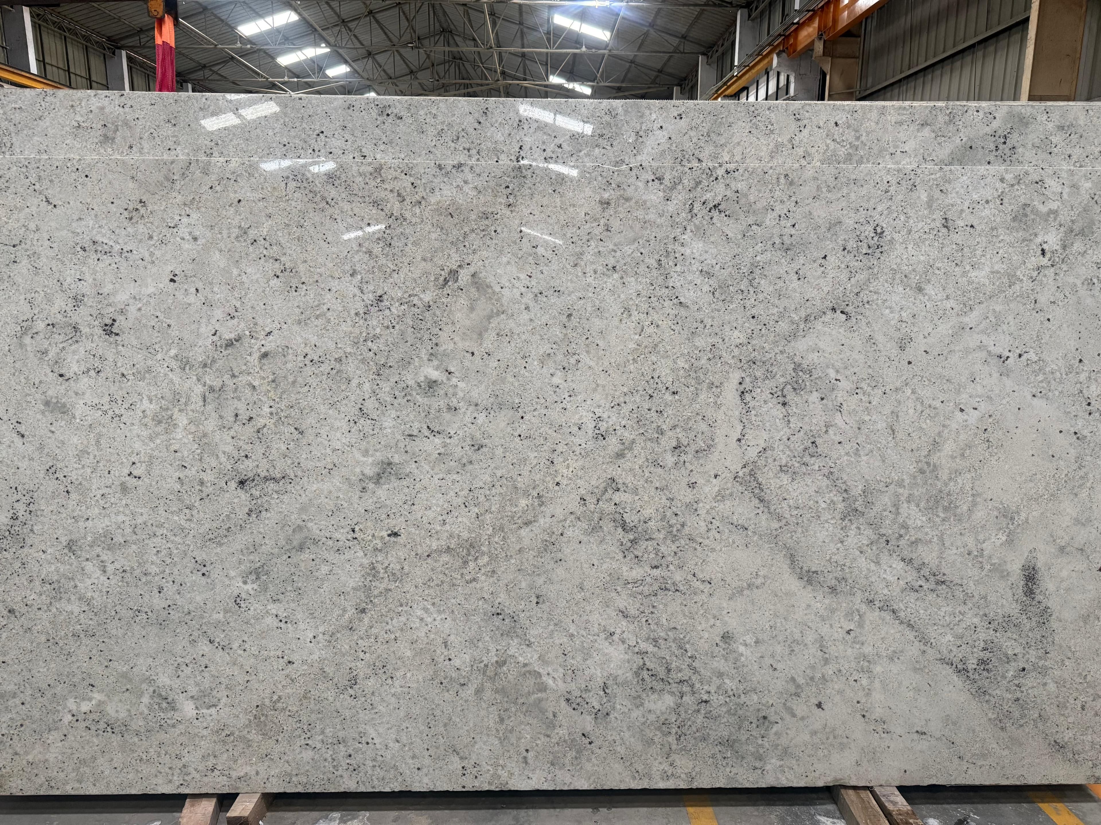 Alpine White gallery image 1