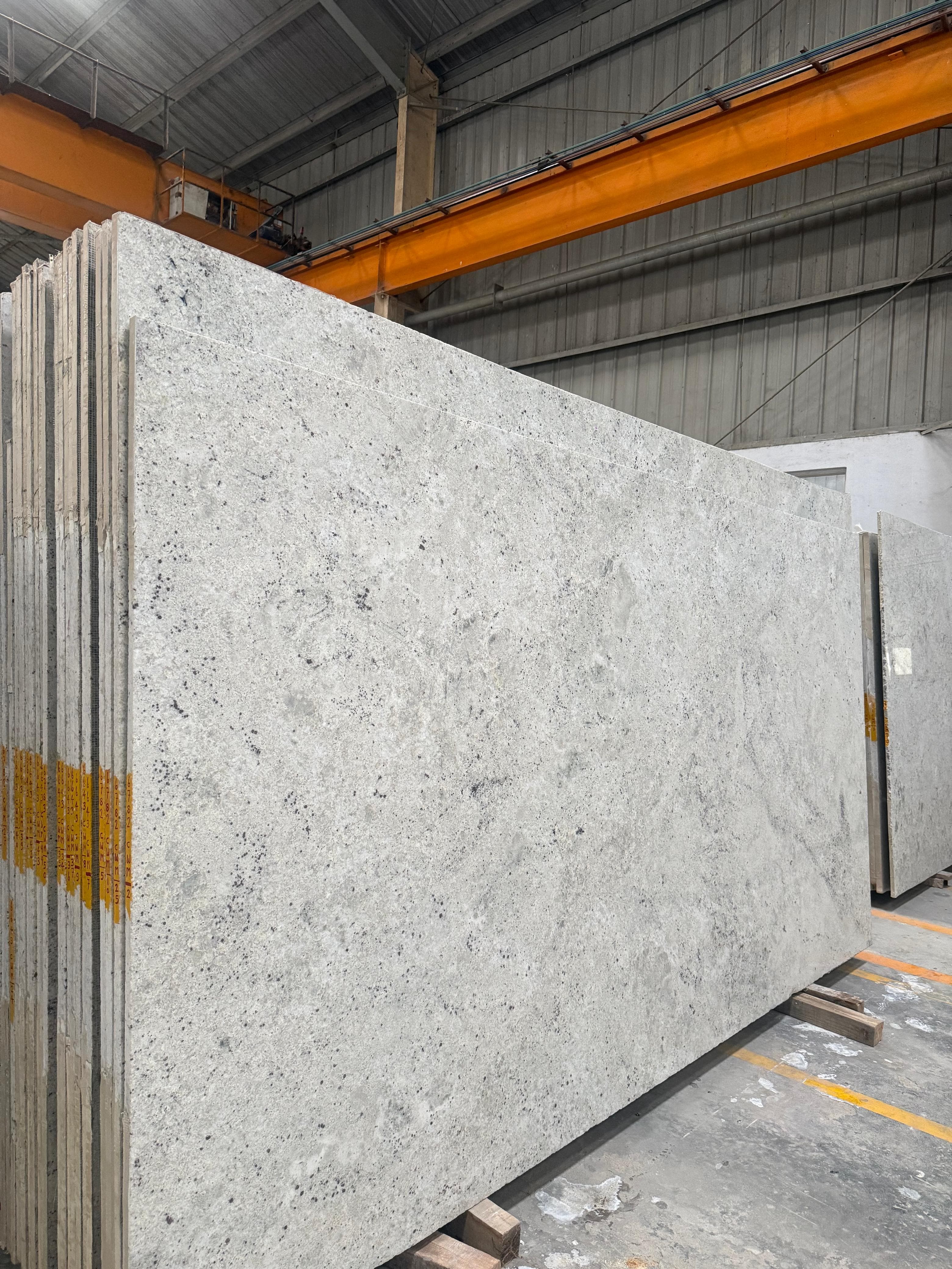 Alpine White primary image