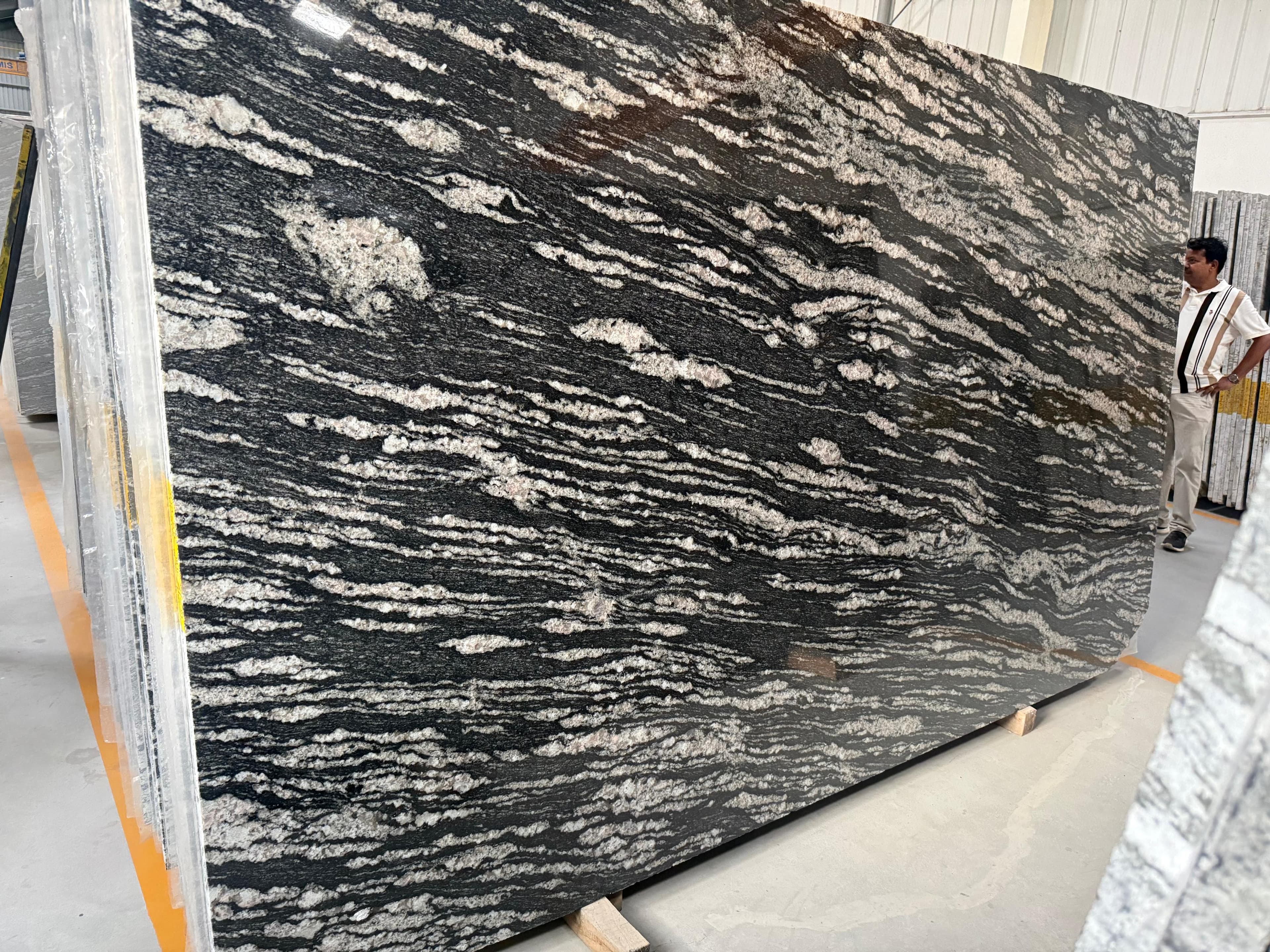 Black Forest primary image